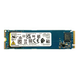 اس اس دی اینترنال کیوکسیا